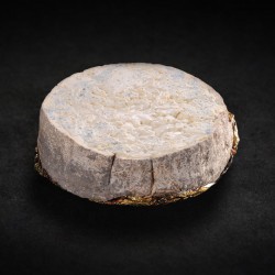 Gorgonzola