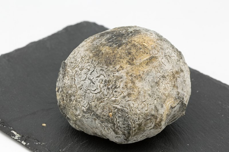 Association pain et vins avec la Truffe de Ventadour