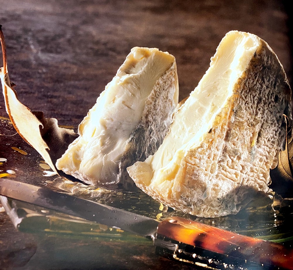 Association pain et vins avec le Cendré de Niort