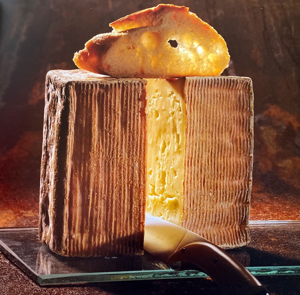 Association pain et vins avec le Maroilles