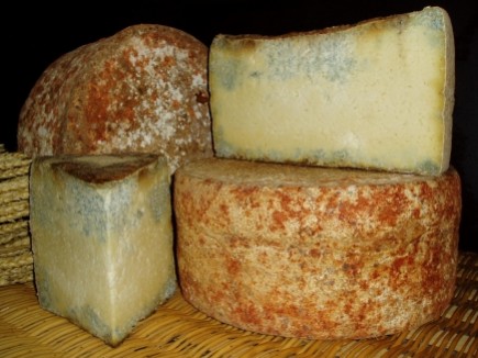 Bleu de Termignon