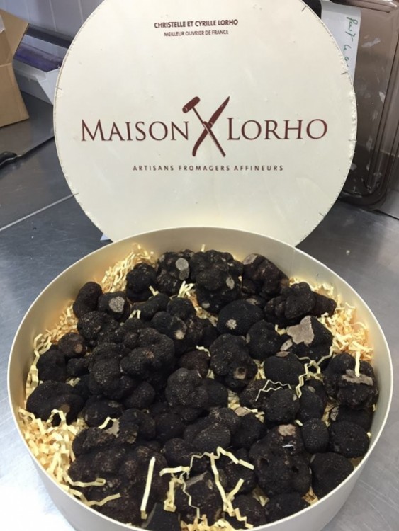 La Truffe est arrivée chez Maison Lorho !