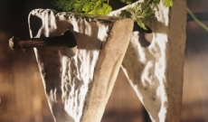 Association de fromages : Coup de Corne, baguette grillée, limoux blanc sec