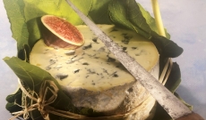 Association pain et vins avec la Fourme d’Ambert