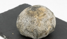 Association de fromages : Truffe de Ventadour, pain au kamut, Ajaccio blanc