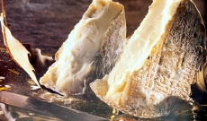 Association pain et vins avec le Cendré de Niort