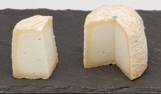 Association de fromages : Cendré de Niort, Baguette grillée, Patrimonio blanc
