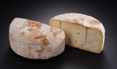 Association de fromages : Bleu de brebis, pain aux figues, banyuls ambré hors d’âge rouge