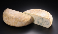 Bleu de Gex
