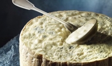 Gorgonzola à la cuiller : une gourmandise !
