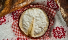 Les huîtres au Camembert