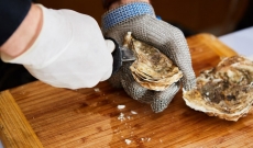 Huîtres au Camembert de Normandie AOP