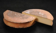 Production du fromage Abondance