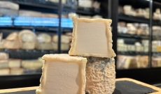 Le Chabichou du Poitou