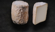 Les secrets du fromage Charolais - Maison Lorho