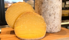 Le fromage Cheddar fermier de Christelle et Cyrille Lorho