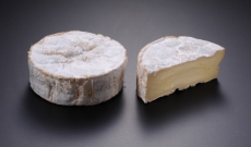 Le TOP 10 des fromages préférés des français