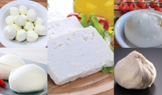 Les meilleurs fromages à déguster en été