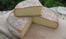 Nougat de Saint-Nectaire aux morilles et craquant de pistaches concassés